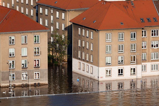 Rzeczoznawca Budowlany jako Kluczowy Ekspert po Zalaniu Mieszkania w Niemczech